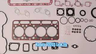 Kit di revisione guarnizioni motore Kubota V2203 Correzione delle perdite